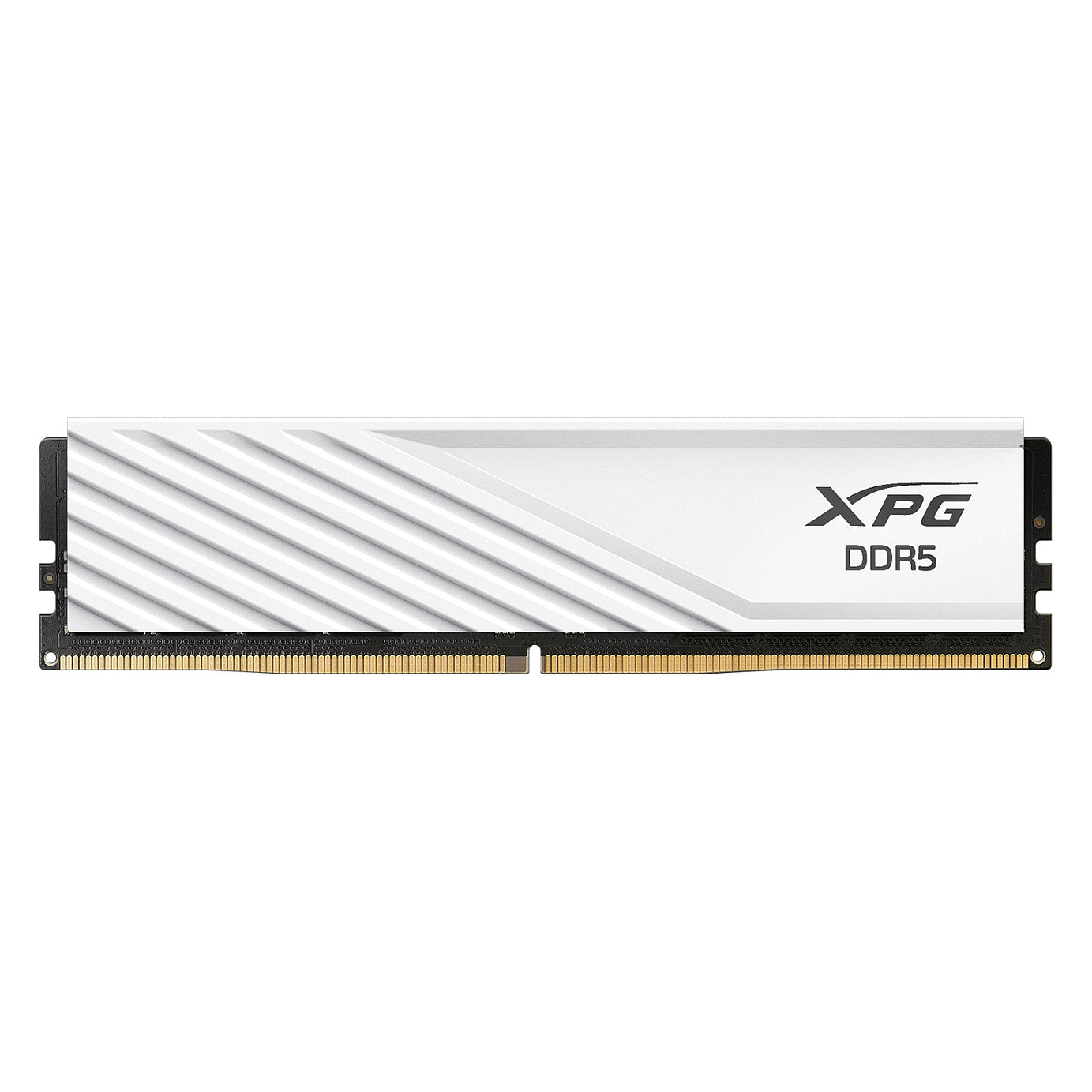 ADATA XPG LANCER 32GB DDR5-5600 DIMM ECC