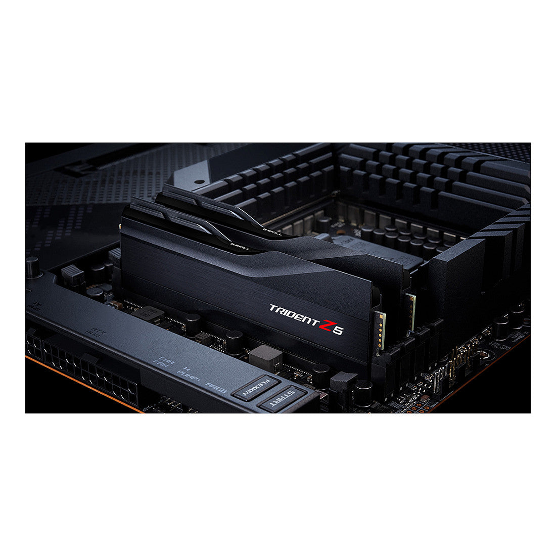 G.Skill Trident Z 32GB DDR5-5600 DIMM