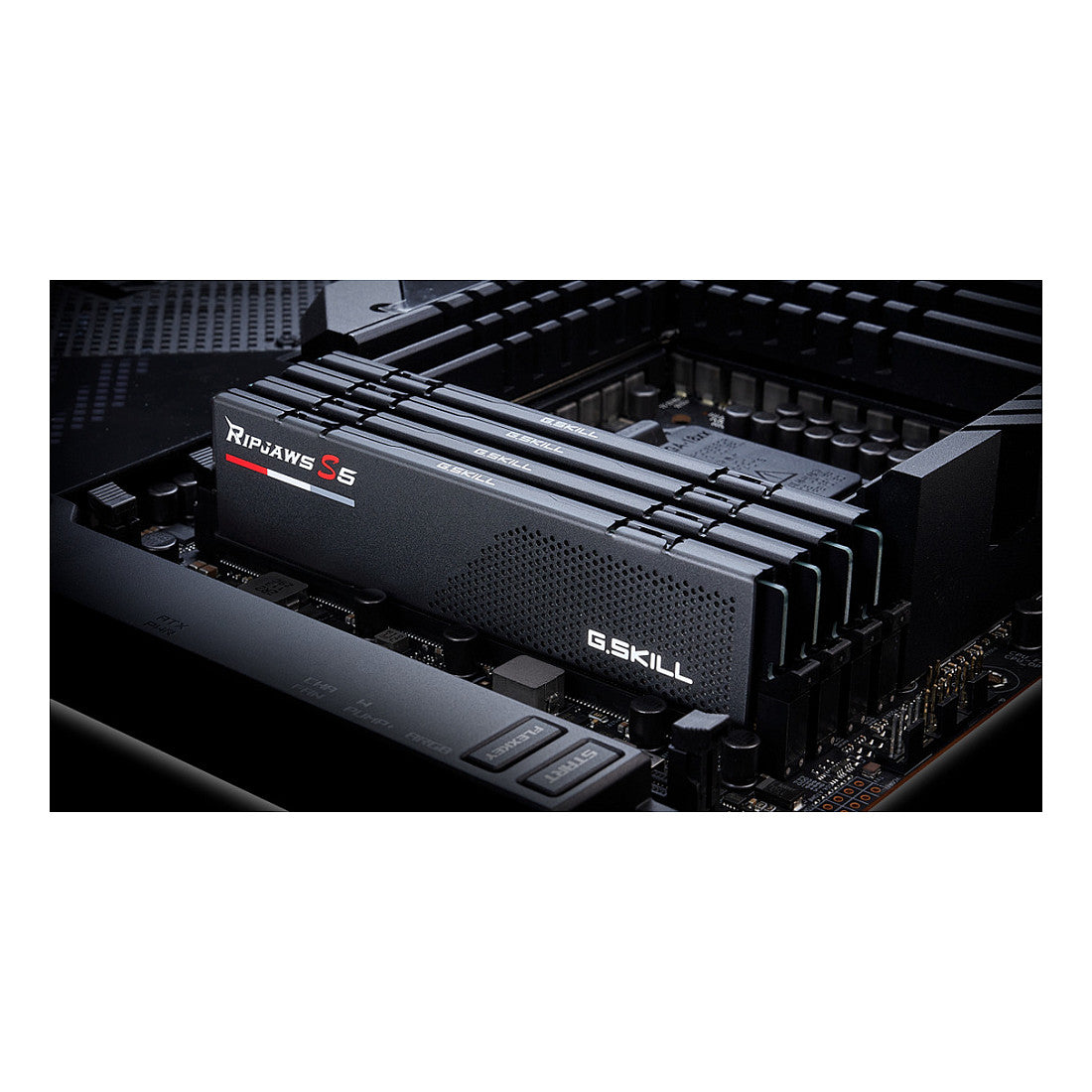 G.Skill Ripjaws 32GB DDR5-3000 DIMM
