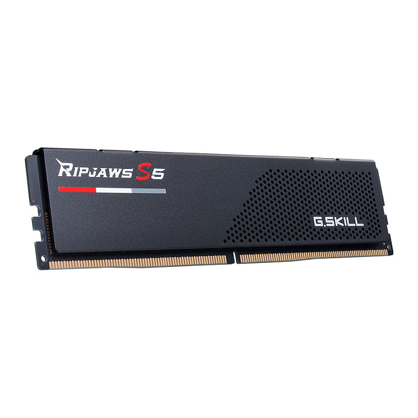G.Skill Ripjaws V 32GB DDR5-6000 DIMM