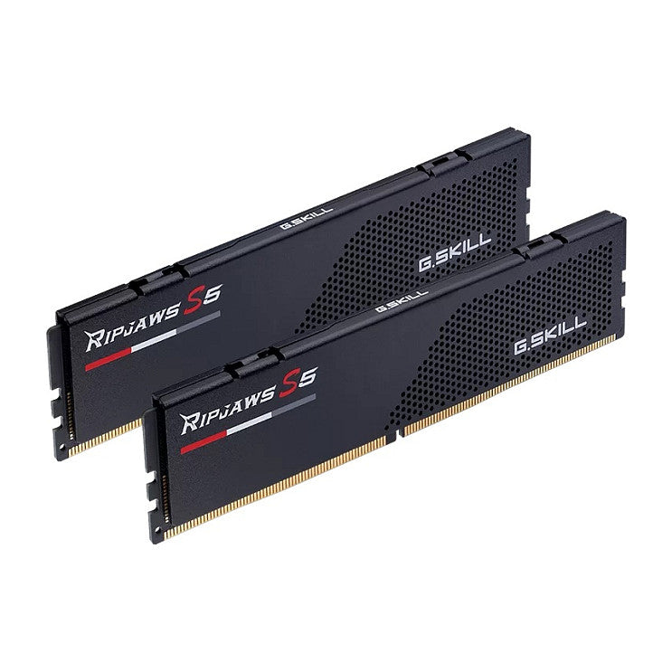 G.Skill 32GB DDR5-6000 DIMM (F5-6000J3636F16GX2-RS5K)