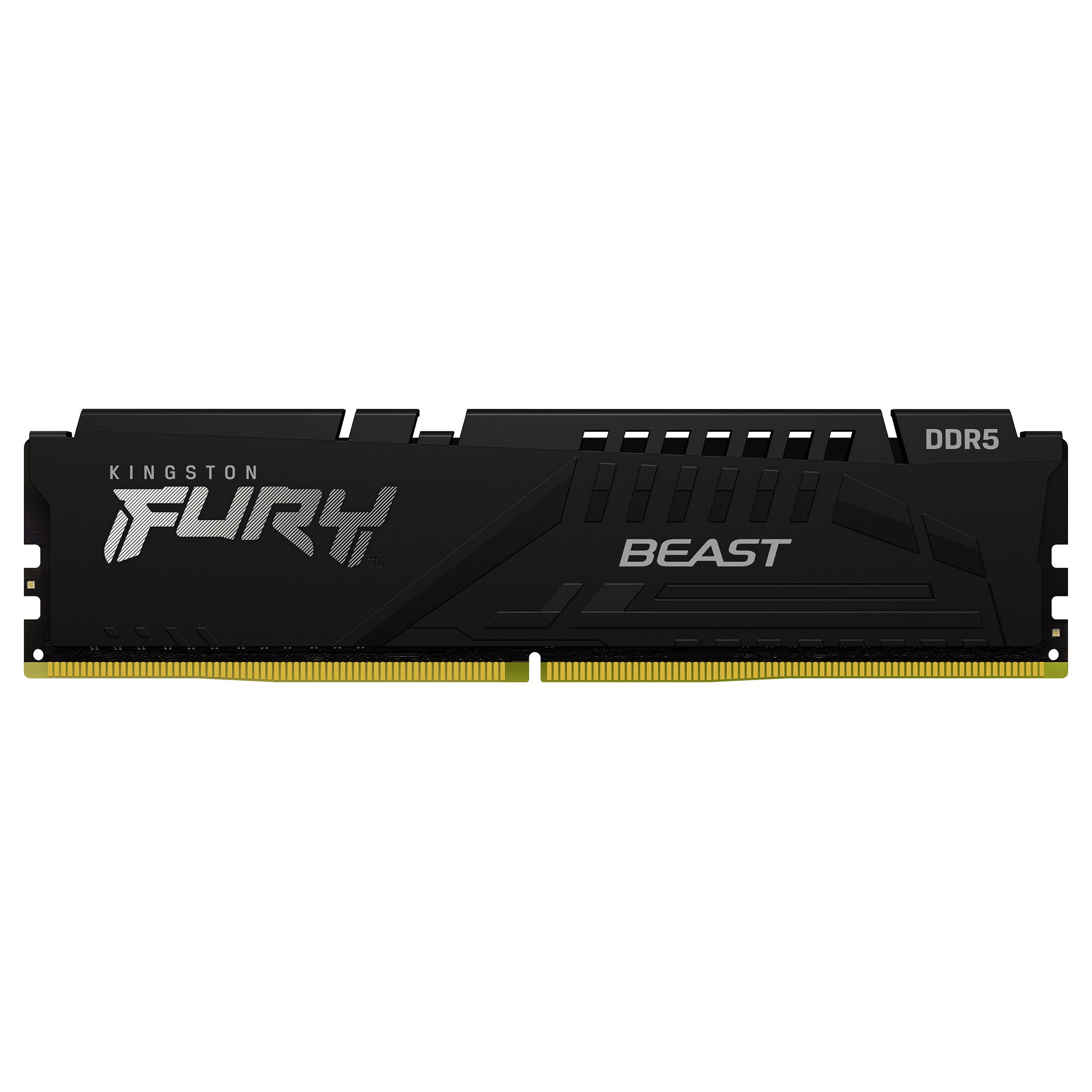 Kingston FURY Beast 16GB DDR5-5600 DIMM ECC (KF556C36BBE-16)