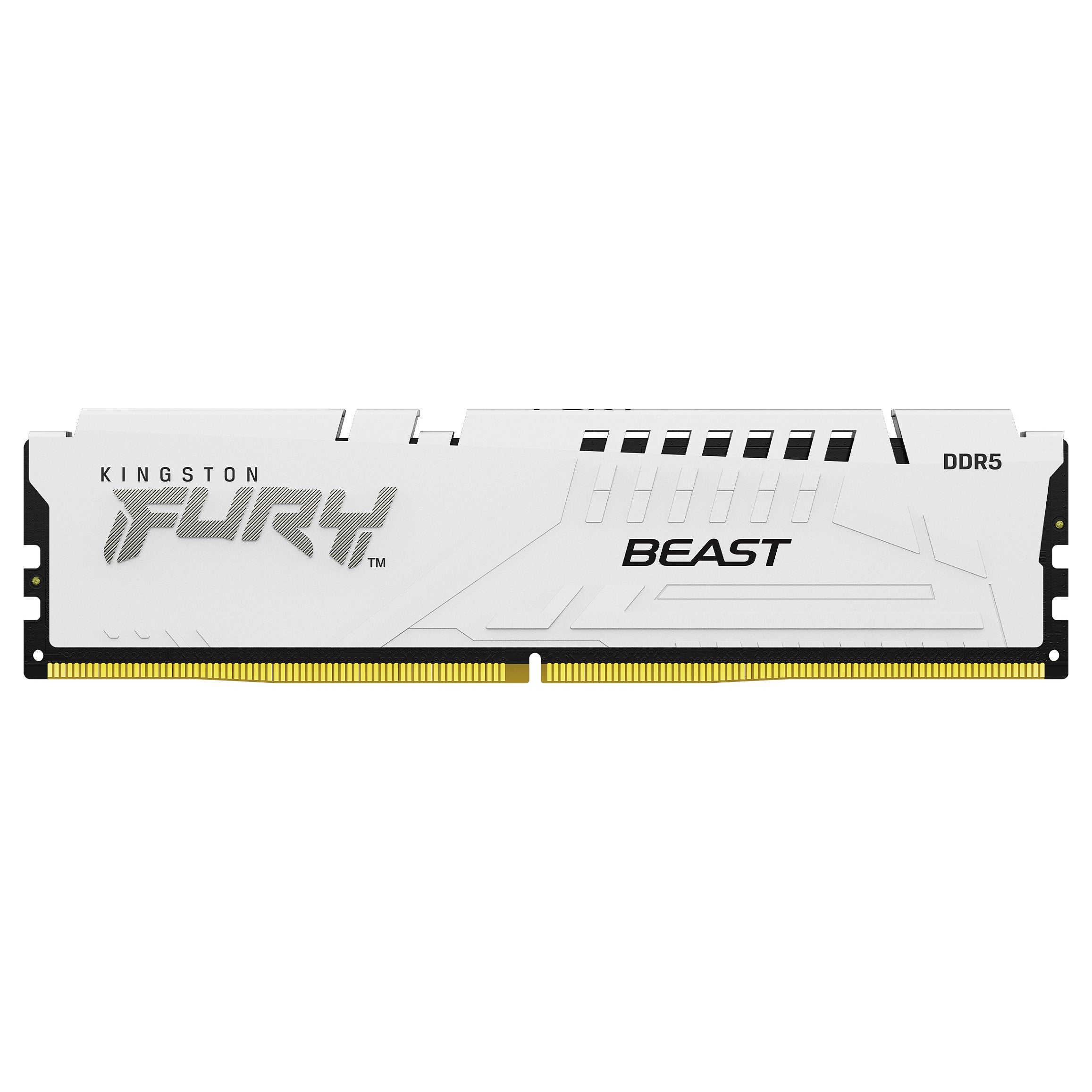 Kingston FURY Beast 32GB DDR5 DIMM ECC