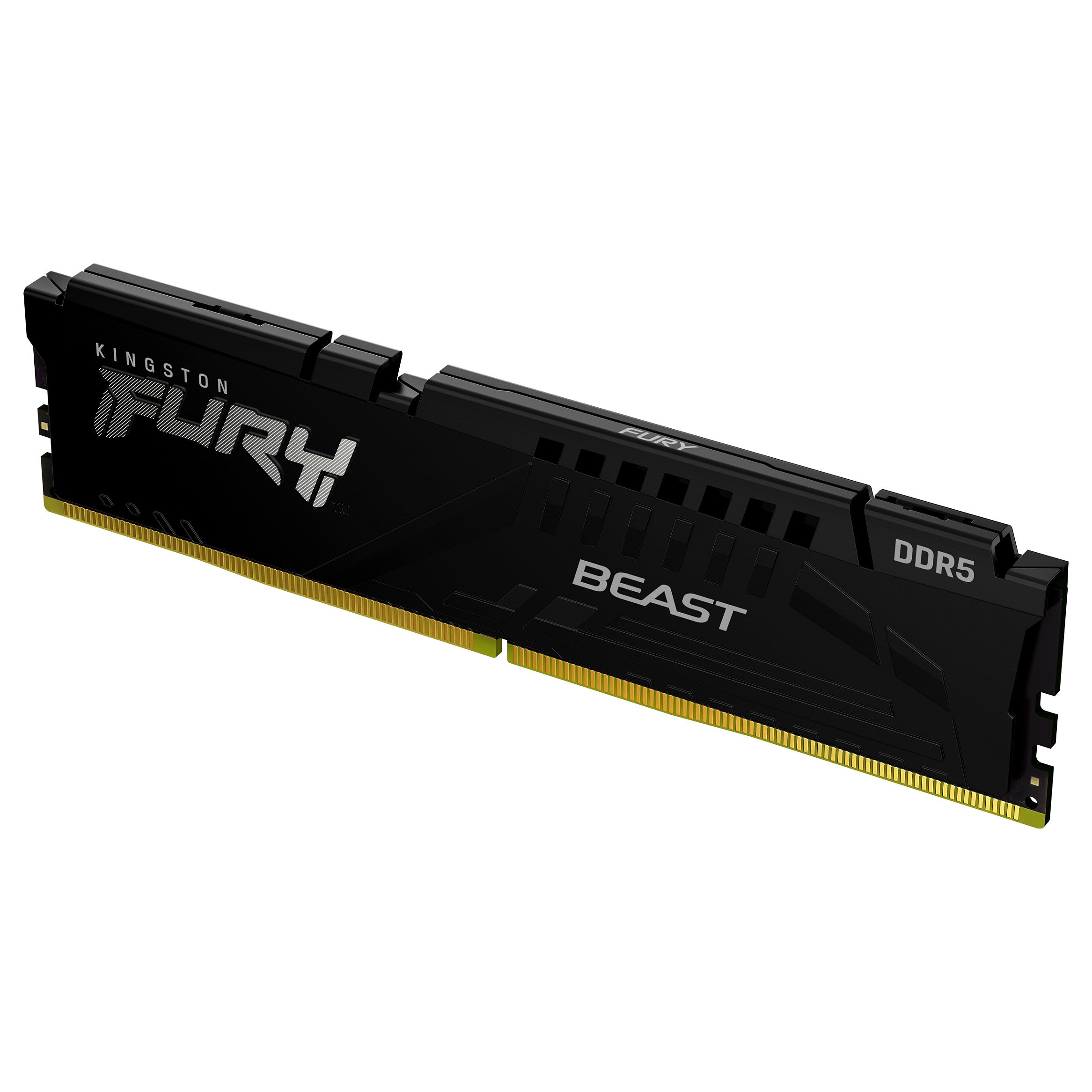 Kingston FURY Beast 16GB DDR5 DIMM ECC