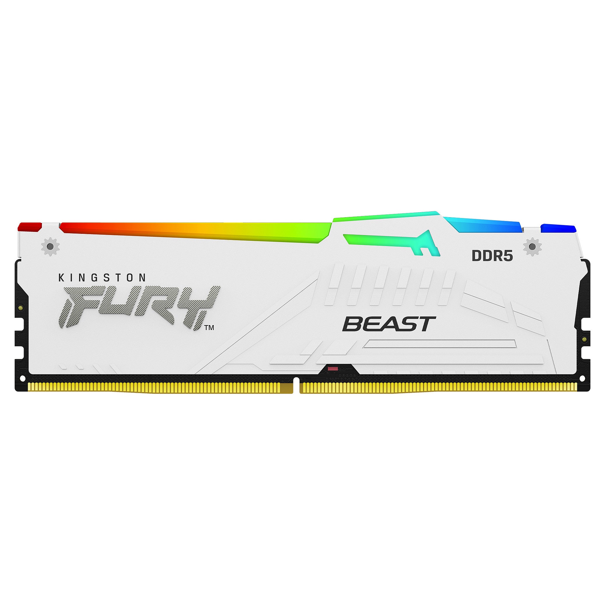 Kingston FURY Beast 16GB DDR5-6000 DIMM ECC (KF560C30BWEA-16)