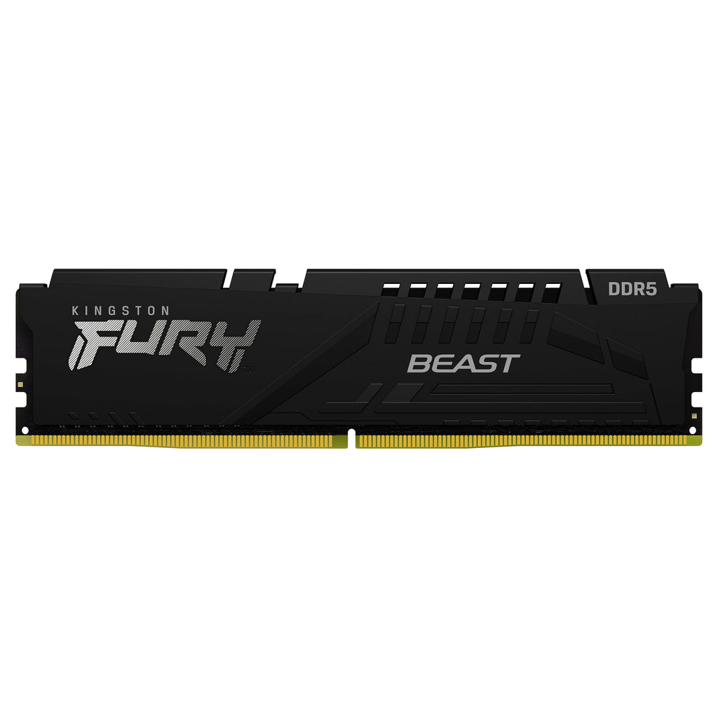 Kingston FURY Beast 16GB DDR5-6000 DIMM ECC (KF560C36BBE2-16)